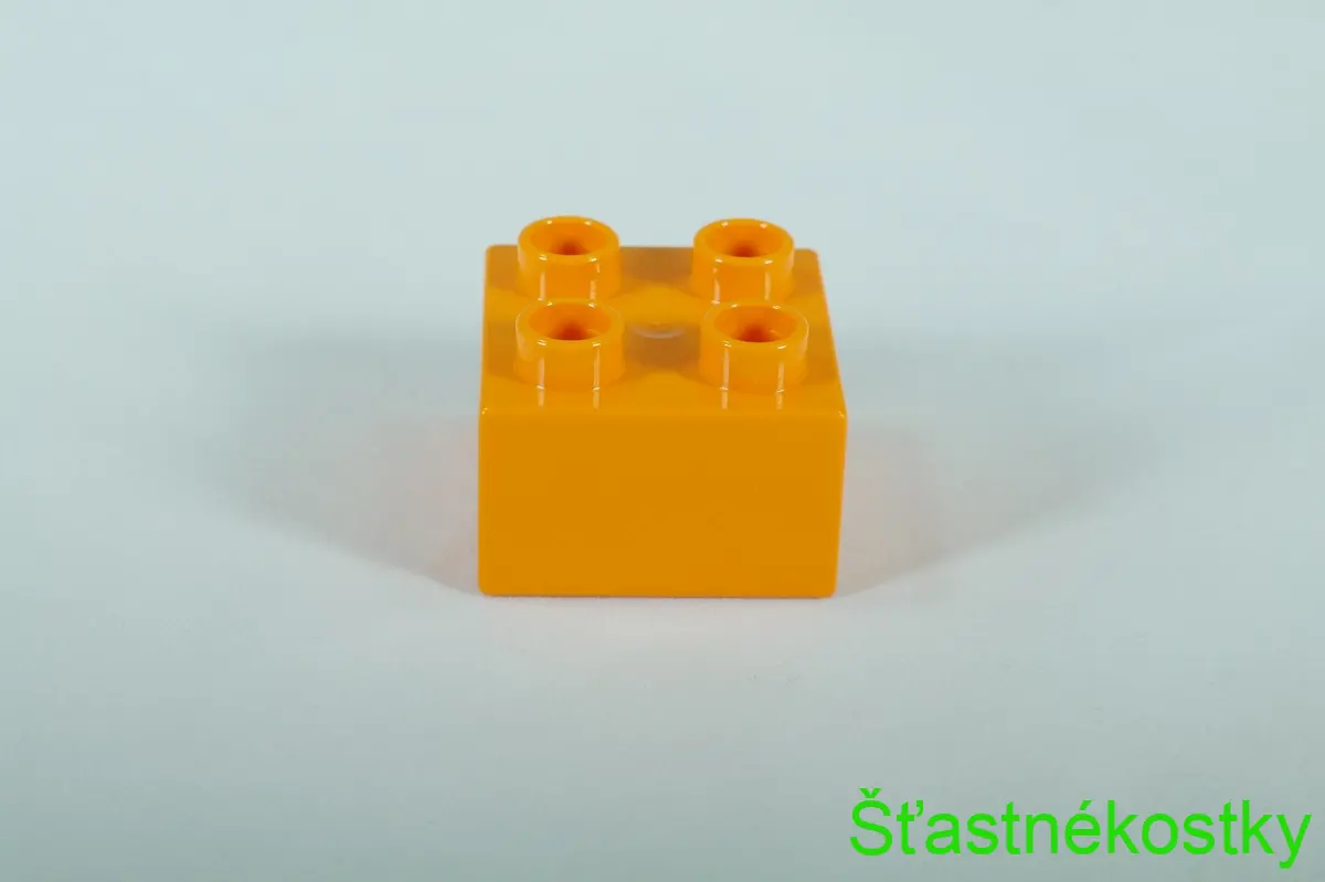 LEGO® DUPLO® kostka/cihla 2x2