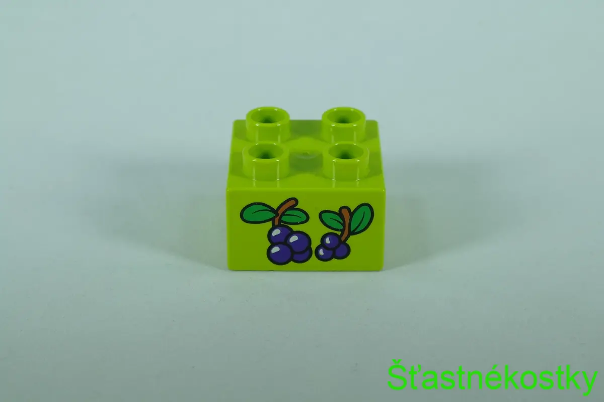 LEGO® DUPLO® cihla 2x2 se vzorem bobulí a listů