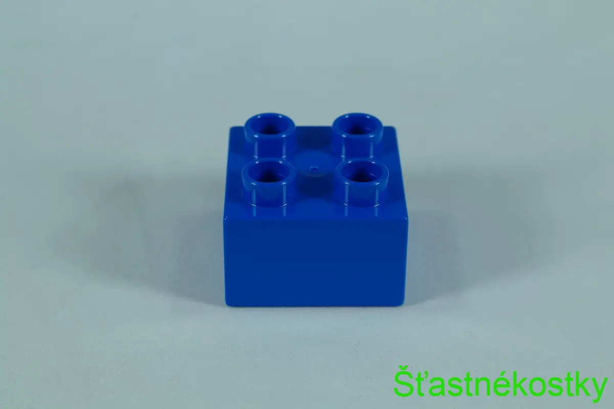 LEGO® DUPLO® kostka/cihla 2x2