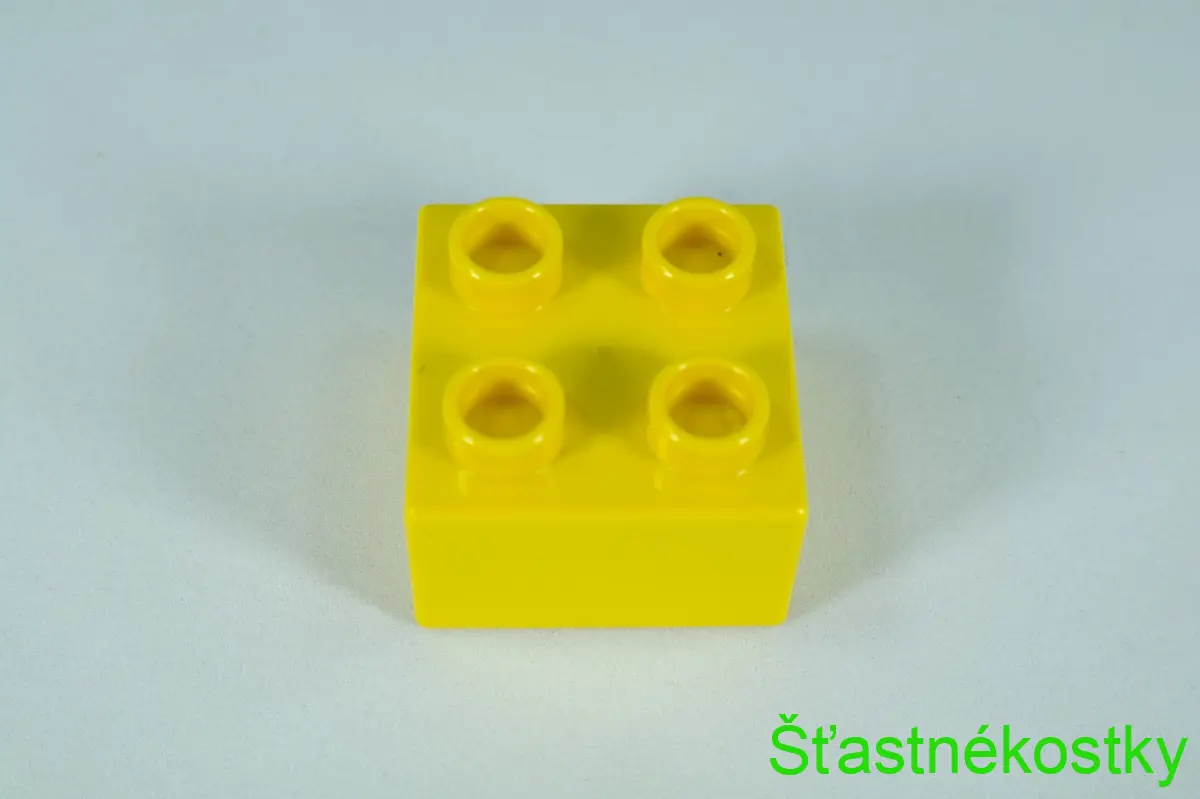 LEGO® DUPLO® kostka/cihla 2x2