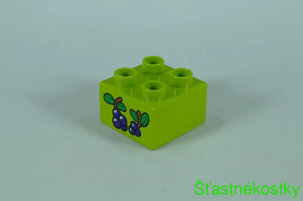 LEGO® DUPLO® cihla 2x2 se vzorem bobulí a listů