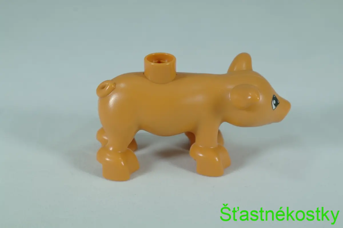 LEGO® DUPLO® prase