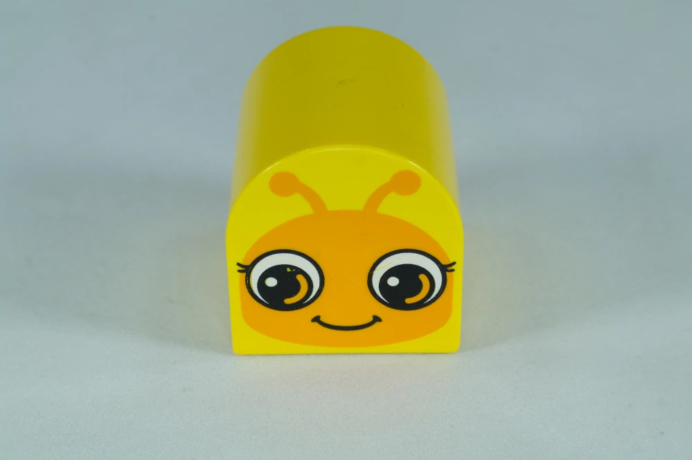 LEGO® DUPLO® cihla 2x2x2 se vzorem hmyzu