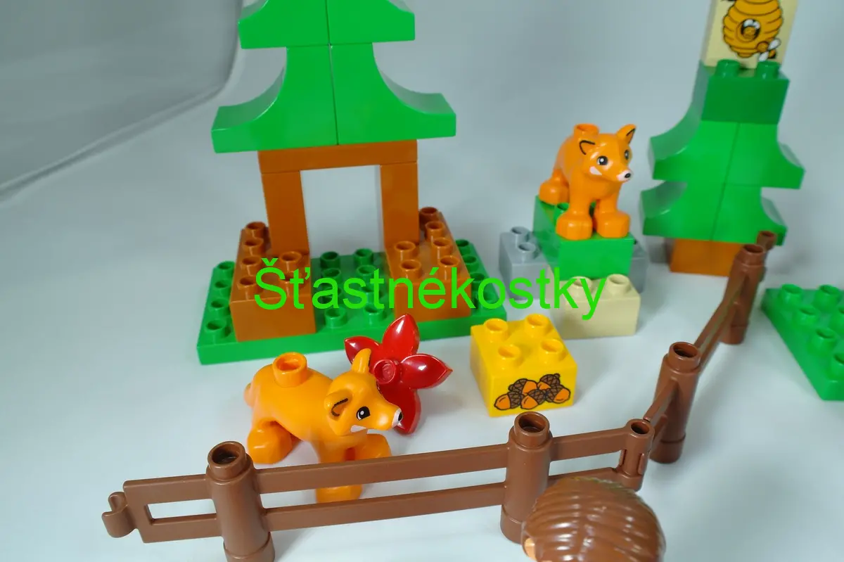LEGO® DUPLO® 10584 Lesopark