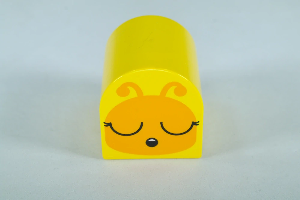 LEGO® DUPLO® cihla 2x2x2 se vzorem hmyzu