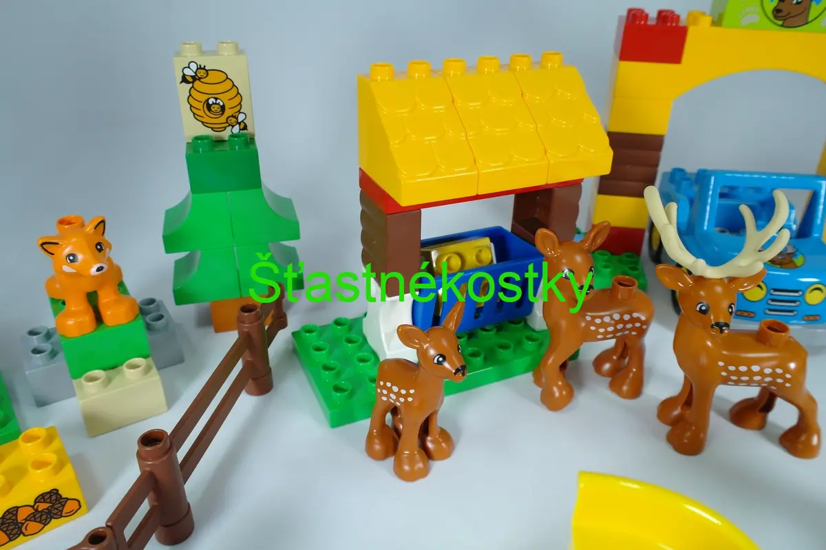 LEGO® DUPLO® 10584 Lesopark